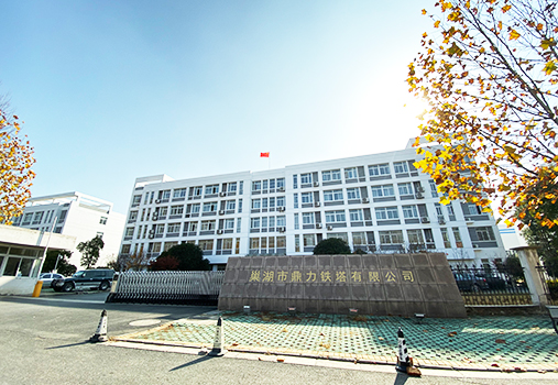 安徽省巢湖市鳳凰食品有限公司